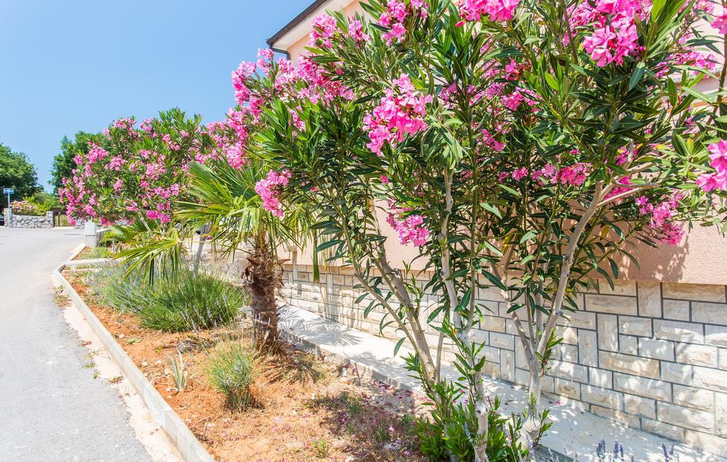 Apartmani Luka Kornić Екстериор снимка
